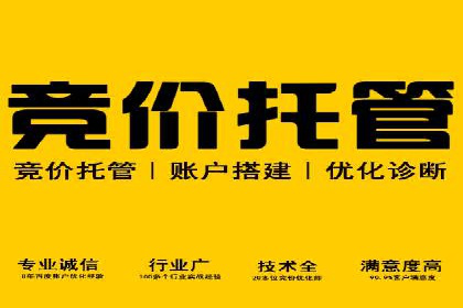 某某企业SEM营销案例解析：SEM在零售行业的成功运用
